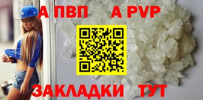 СК Тула